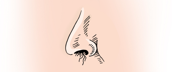 db05606a-6b82-44ea-8268-013f719e21bb.png