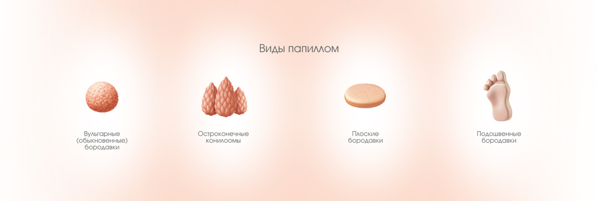 b7afa8c9-8a2a-41ba-9c54-fd362e022f2a.jpg