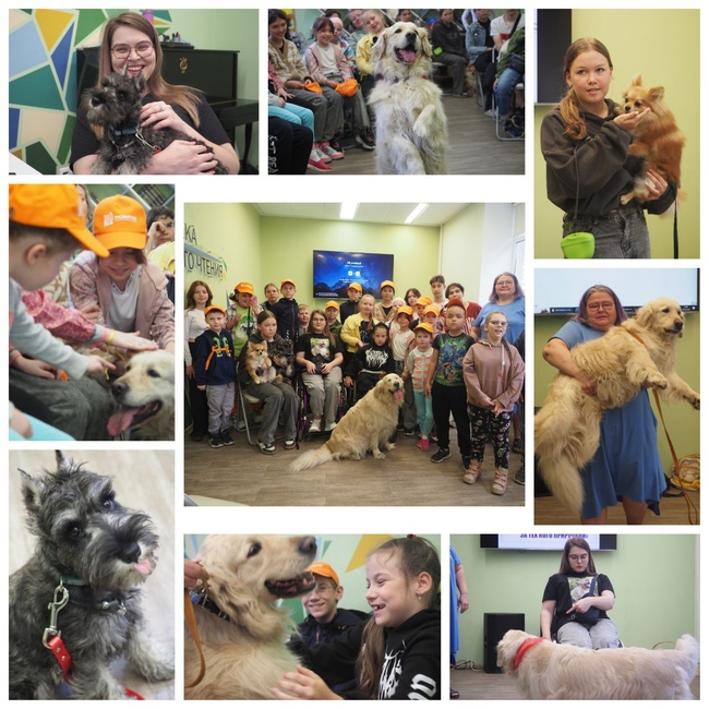 Мы в ответе за тех, кого приручили 