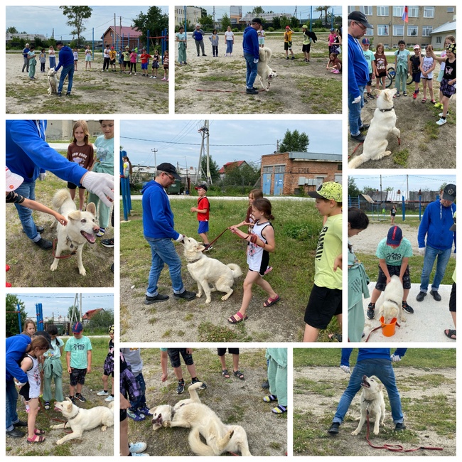 Забота о животных с детства!