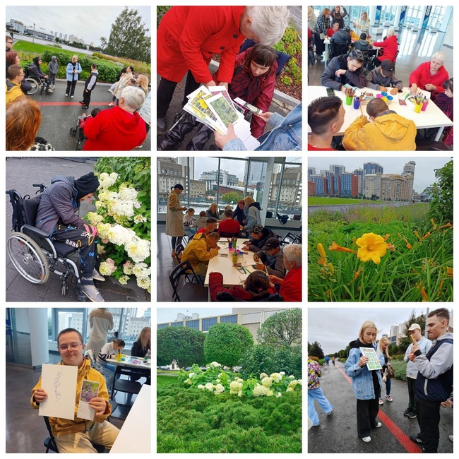 Сад трав август