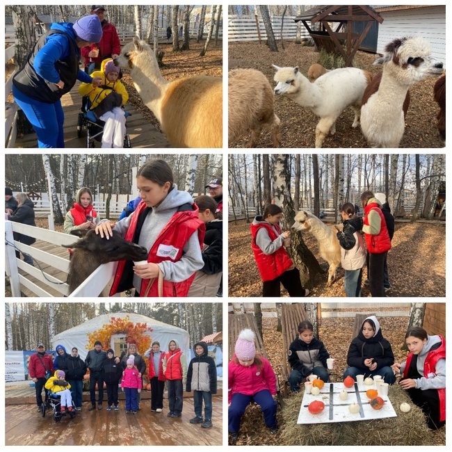 Парк альпак 2