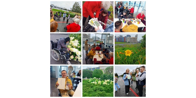 Сад трав август