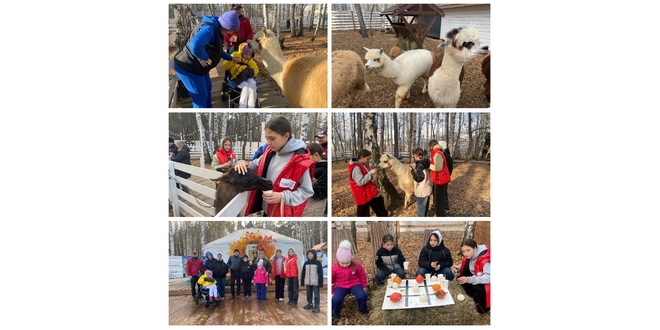 Парк альпак 2